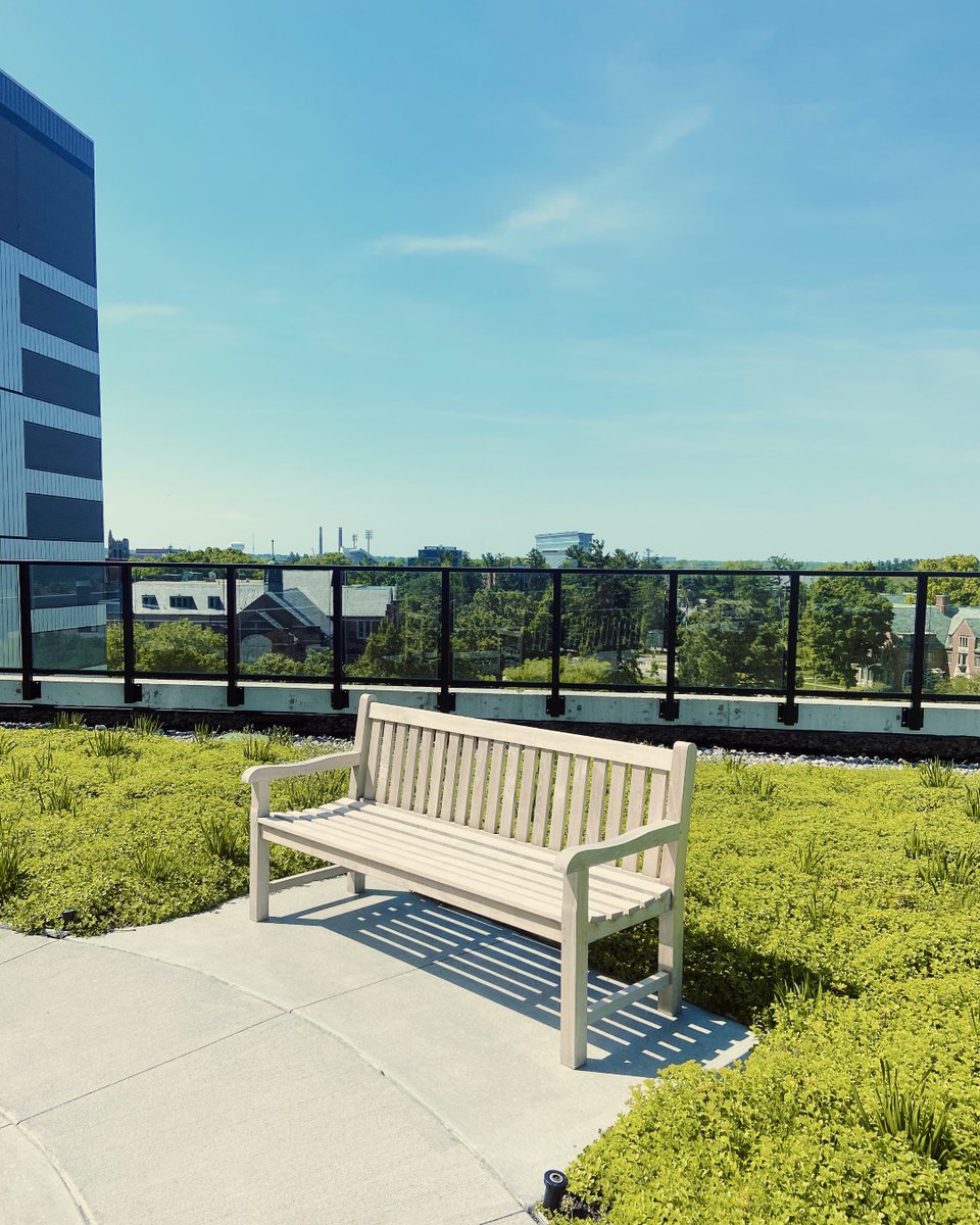 NewmanLofts's tweet photo. Nobody should have to spend a sunny day like today inside- get your dose of sunshine relaxing on our rooftop courtyard, we know you've earned it! ☀️ https://t.co/lXeENFO7Nh