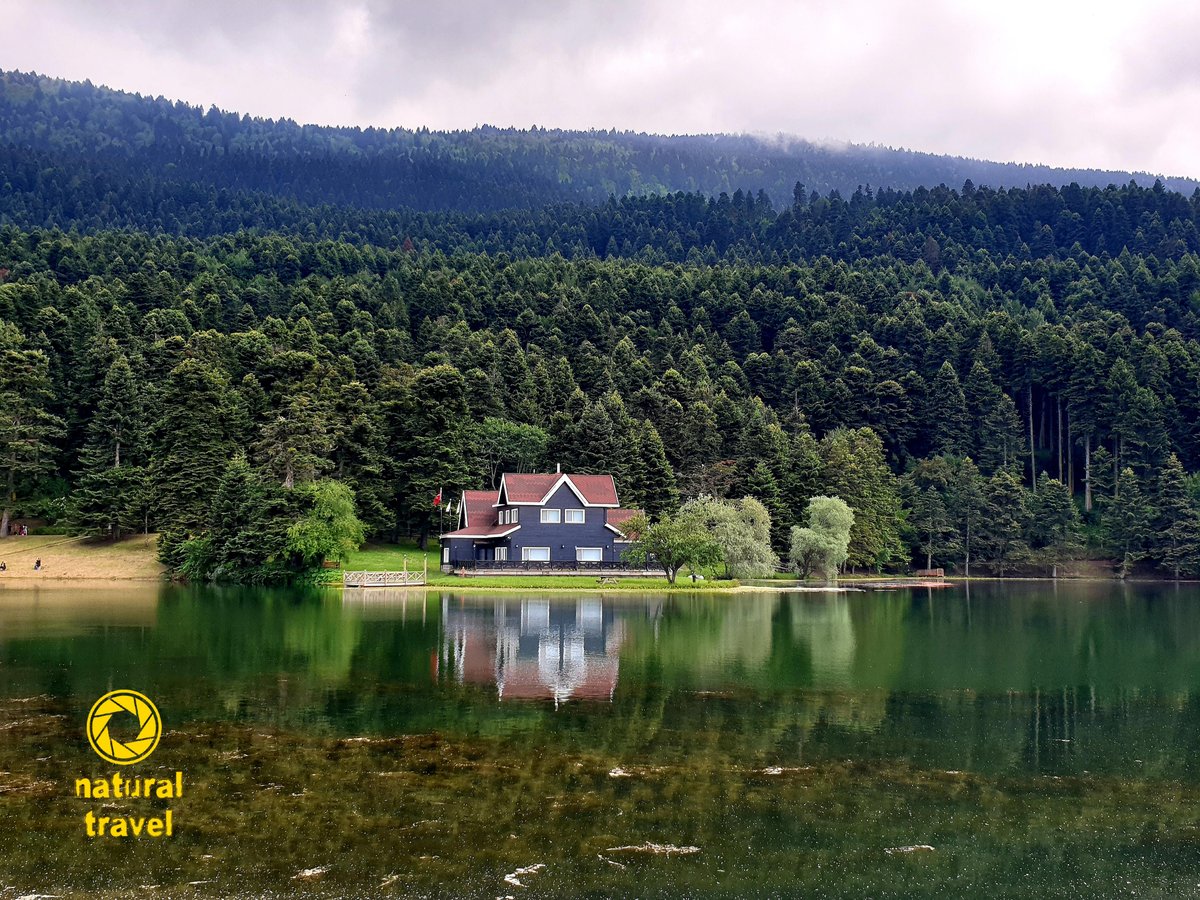 naturalandtrave's tweet photo. #lake #forest #green #scenery #amazing #view #bolu #turkey🇹🇷 #gölcüktabiatparkı https://t.co/K0sXnPE56U