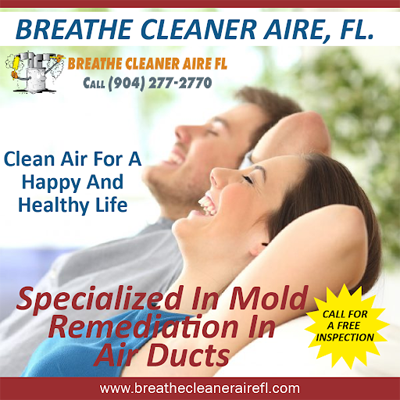 CleanerAireFL's tweet photo. We are specialized in mold remediation in air ducts and air quality testing. You should breathe in clean air for a happy and healthy life.  Connect with us right here for air duct cleaning. Visit: https://t.co/FOESmfbZWN
#moldremediation #airducts #testing #cleanair https://t.co/4AJgUhTPXL