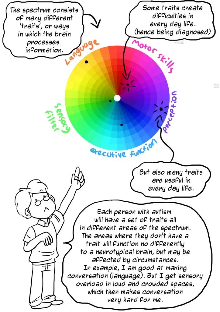 Myth: Autism is a linear spectrum.The autism spectrum is more like this circle rather than a line. The spectrum means that every autistic person experiences different traits at different strengths, and these vary from day to day. Where someone is on the spectrum changes. /12