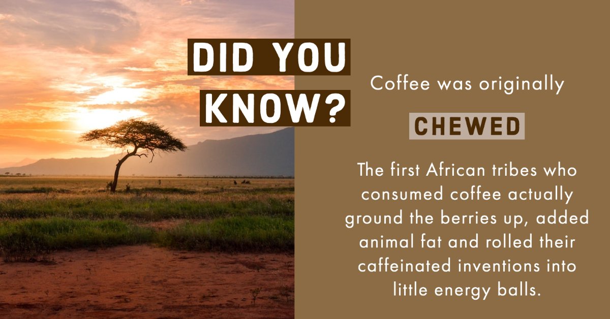#Coffeefact: Did you know? ⠀
⠀
#coffee #africa #africantribes #origins #coffeeconsumption #coffeeworld #espresso #didyouknow