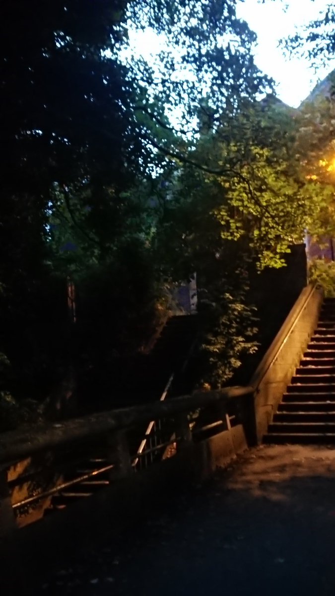 For anyone missing Durham and  @Durham_Classics, here are some photos from my walk home from Professor Low's back garden where we partook of socially-distanced average-tasting sushi. The company was excellent though, obvs. And the skies tonight were glorious.