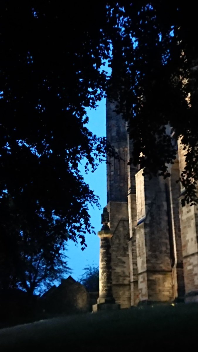 For anyone missing Durham and  @Durham_Classics, here are some photos from my walk home from Professor Low's back garden where we partook of socially-distanced average-tasting sushi. The company was excellent though, obvs. And the skies tonight were glorious.