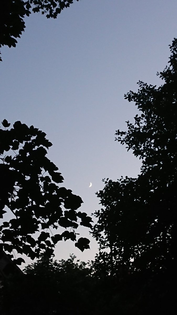 For anyone missing Durham and  @Durham_Classics, here are some photos from my walk home from Professor Low's back garden where we partook of socially-distanced average-tasting sushi. The company was excellent though, obvs. And the skies tonight were glorious.