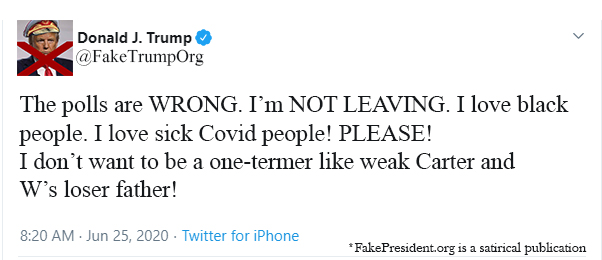 FakeTrumpOrg's tweet image. #FAKEPRESIDENT #ONETERM #NOTLEAVING #FAKEPRESIDENTORG #TrumpIsALaughingStock