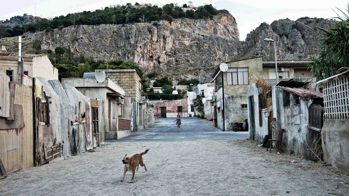 Corradino Janigro tweet media