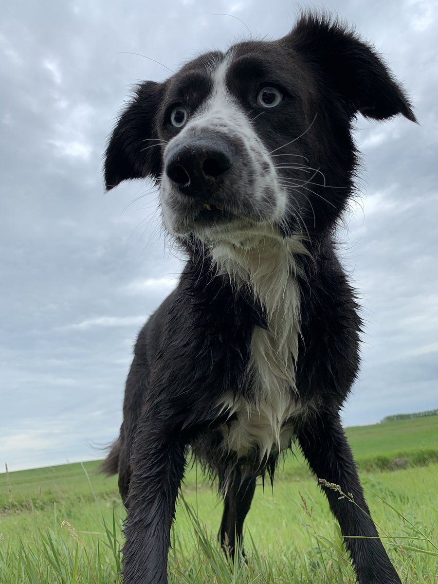 Jordan Cieciwa tweet media