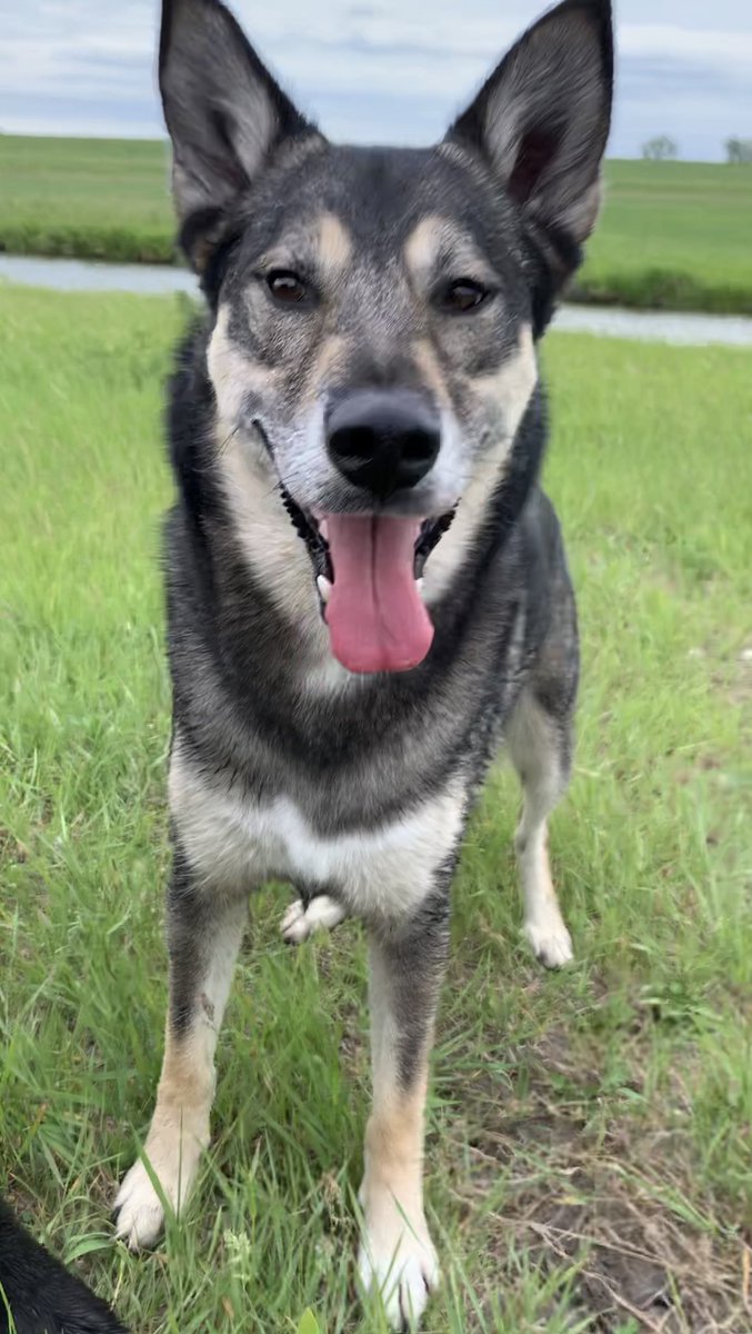 Jordan Cieciwa tweet media