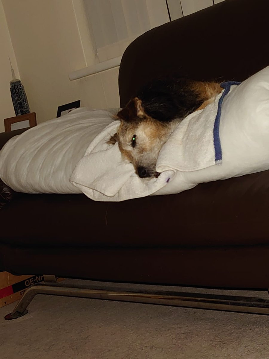 Think Harry has just realised what the fireworks were for. He's defo shitting in kopite gardens tomorrow!