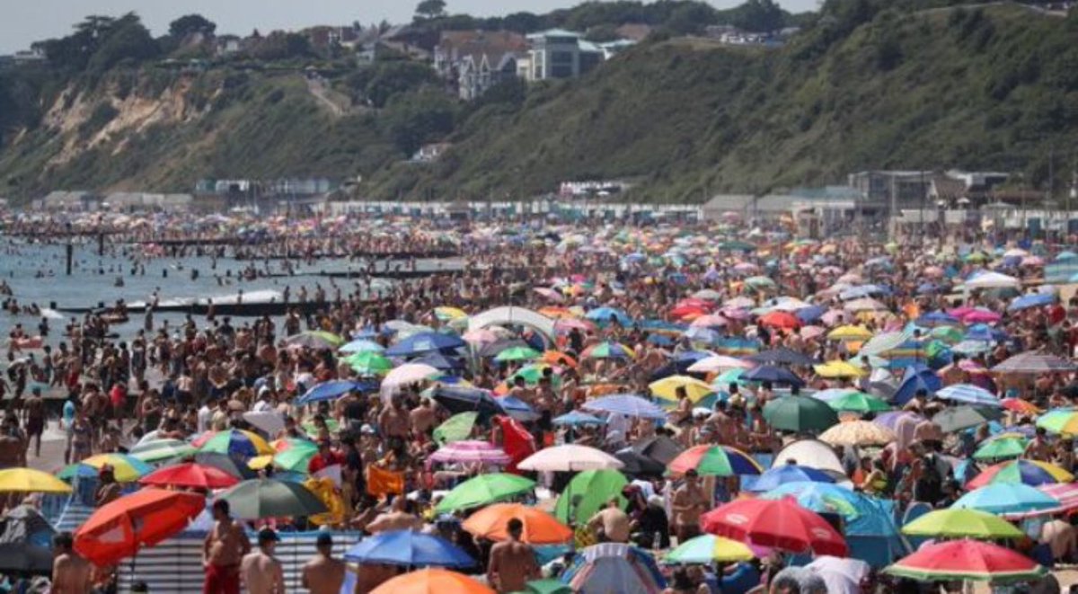 One of these things has been dubbed a "natural vector of disease"