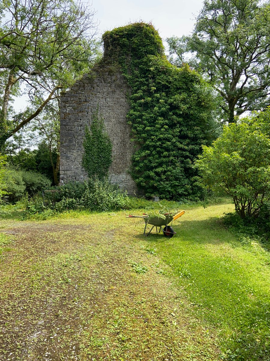 Broke the county line today; 1st time in 16 weeks. Beautiful day in the Burren. Unusual assignment - deconstructing a life might cover it. History and sentiment in abundance and strong sense of so much of what seemed important becomes so  irrelevant. This scene caught my eye!
