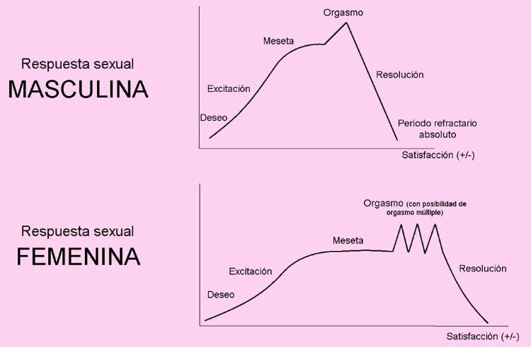 CYsinti's tweet photo. De una manera muy visual te acercamos la respuesta sexual en ambos sexos. Conocerte es uno de los mayores placeres que te puedes conceder😎 
Te hablamos del Deseo Sexual en el último podcast. Búscanos en spotify e ivoox : contigo_ysinti 🎙. https://t.co/x3HzqdCgdw