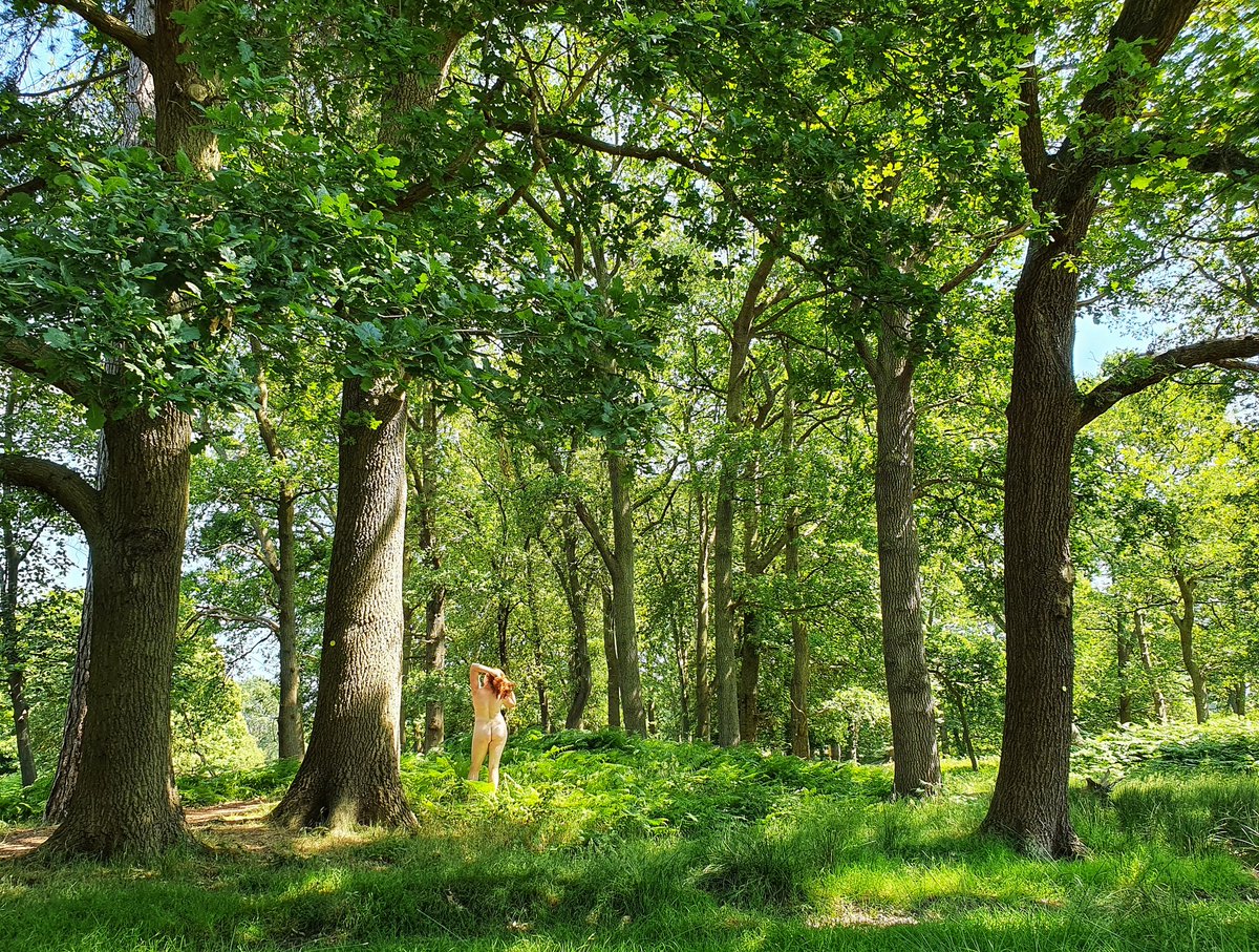 Taking inspiration from  @Exposing40 and  @EA_unadorned... fun in the ferns...