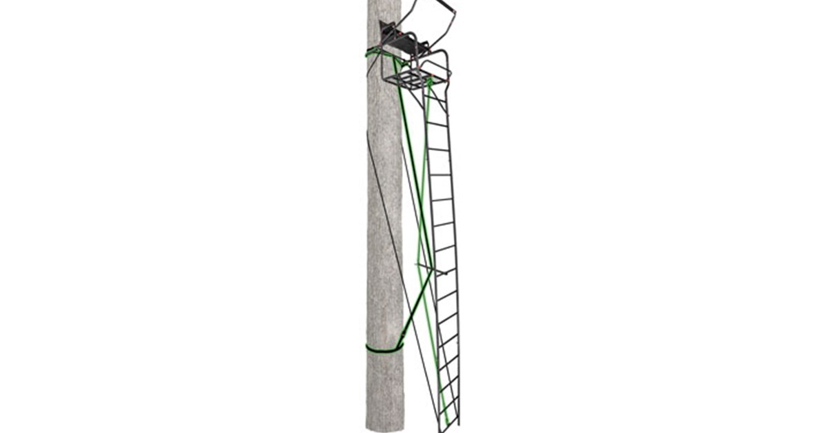 AmericanHunter's tweet photo. First Look: Primal Treestands 22-Foot Ladder Stand
—https://t.co/Cb6tmUMysu—#Primal #Treestands #LadderStand #Hunting #Hunt #Deer #Whitetail https://t.co/P0qrsjabJh