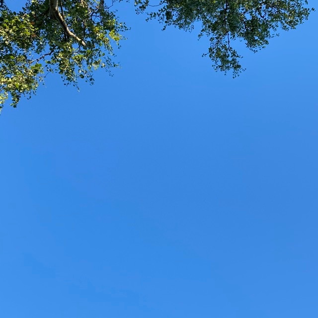 goatyrev's tweet photo. More clouds than this in the Caribbean https://t.co/uITQzYlhcy