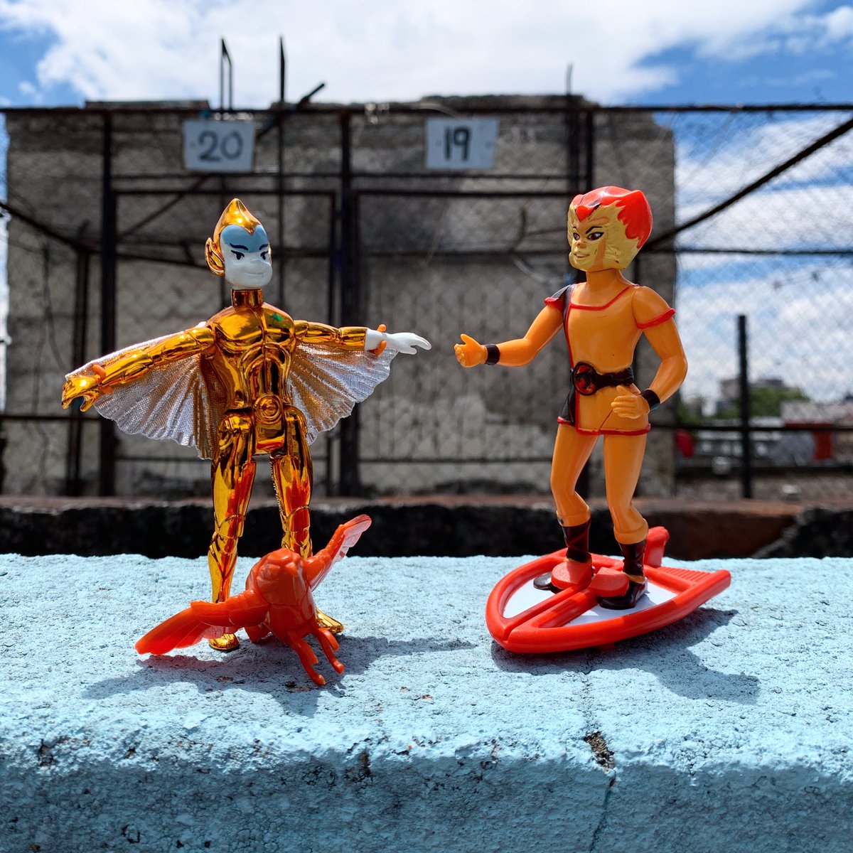 LosRetroGamers's tweet photo. #bandaretrogamer 
Los adolescentes se están volviendo locos y también le entraron al #juevesdechingadazos Niño de cobre #silverhawks se le puso al brinco a Felino #thundercats están del vuelo ehhhh, a ¿quién le van?
#juguetes #azotea #cuarentena #cooperkid #felinothundercats https://t.co/cOhdnUCFHg