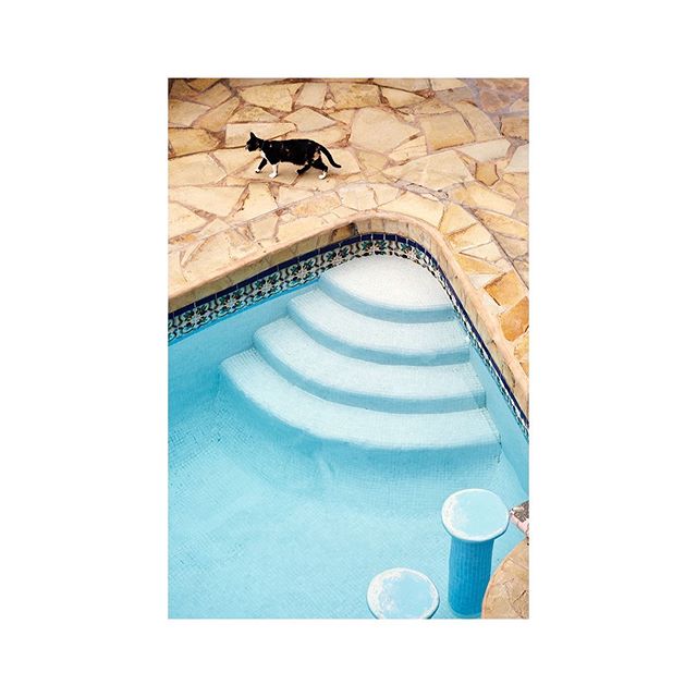 Pikes is full of special corners and hidden gems, this one is our favourite. Only 7 days to go until we are stepping into our legendary pool, cocktail in hand. Bikini at the ready....
.
#ibiza #pikesibiza #pikeshotel #ibizahotel #ib... Read more -> zpr.io/H675r