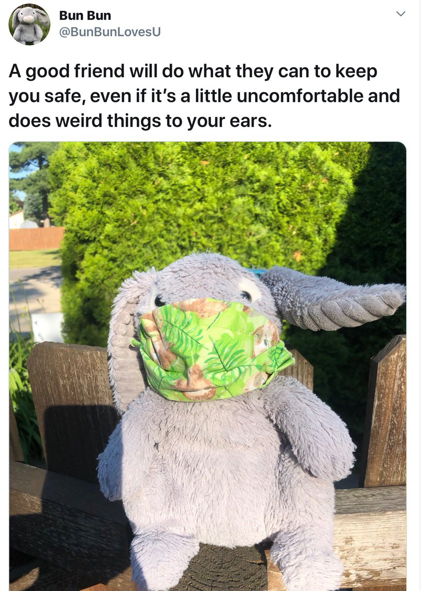 JackiSec62's tweet photo. While doing a wellness check on @RobBootEdgeEdge , I discovered the newfound joy of @BunBunLovesU ...and I am absolutely, positively 😍SMITTEN😍

#FollowTheFluff 🐰 
#GoodnessAboundsInTheBend ❤️ https://t.co/TkXGTwDiE9
