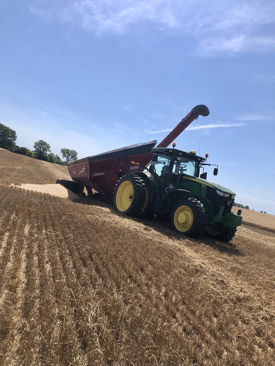 shawnander1's tweet photo. Went full @graincartguy. #WheatHarvest20 https://t.co/kyEQFCaS13