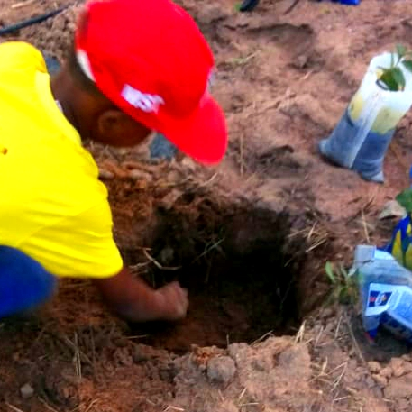 MST_Oficial's tweet photo. 🌱 Famílias do assentamento Oziel Alves, em Mossoró (RN), plantaram 95 mudas de árvores frutíferas, parte do Plano Nacional “Plantar Árvores, Produzir Alimentos Saudáveis”.

#PlantarÁrvores #ProduzirAlimentosSaudáveis #QuarentenaSemTerra #AgriculturaFamiliarProBrasilNãoPassarFome https://t.co/CPSIkTOM2Z