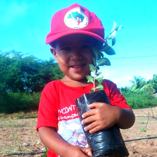 MST_Oficial's tweet photo. 🌱 Famílias do assentamento Oziel Alves, em Mossoró (RN), plantaram 95 mudas de árvores frutíferas, parte do Plano Nacional “Plantar Árvores, Produzir Alimentos Saudáveis”.

#PlantarÁrvores #ProduzirAlimentosSaudáveis #QuarentenaSemTerra #AgriculturaFamiliarProBrasilNãoPassarFome https://t.co/CPSIkTOM2Z