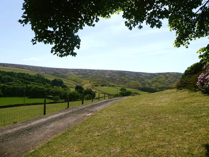 Lymefield's tweet photo. From the #Cheshire plains to #PeakDistrict moorland we are lucky to have spectacular scenery, with epic skylines on our very own doorsteps! We would love to see your #holiday snaps whilst you've been #holidayingathome this #summer.
#lymefield
#gardencentre 
#farmshop https://t.co/Wasxjxoqg6
