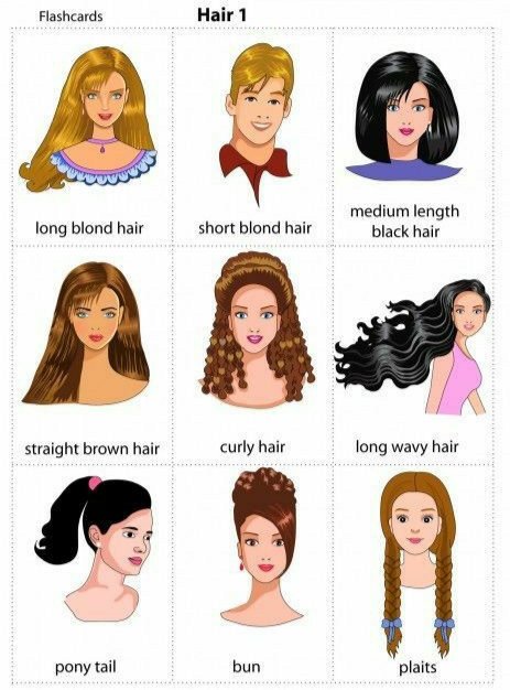 StudioLE3's tweet photo. Curly, long, short...? 

#Mujeres #dianaranja #FelizJueves #AprendeEnCasa #LearnEnglish https://t.co/pAgJLei0JF