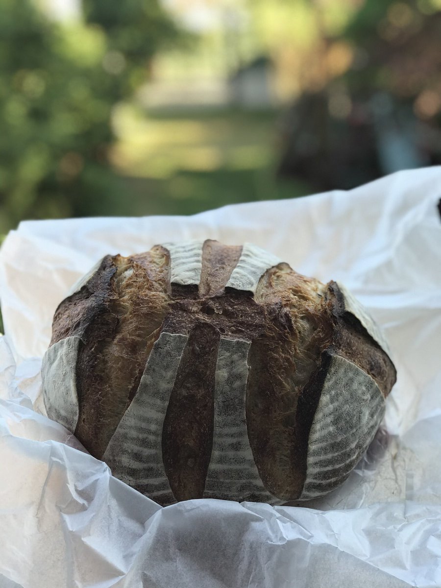 coach_maitland's tweet photo. Check out this (insanely delicious) basketball sourdough!
Thank you @jo_drleg ππΌ
#sourdough #breadgame https://t.co/UADtqXfeXq