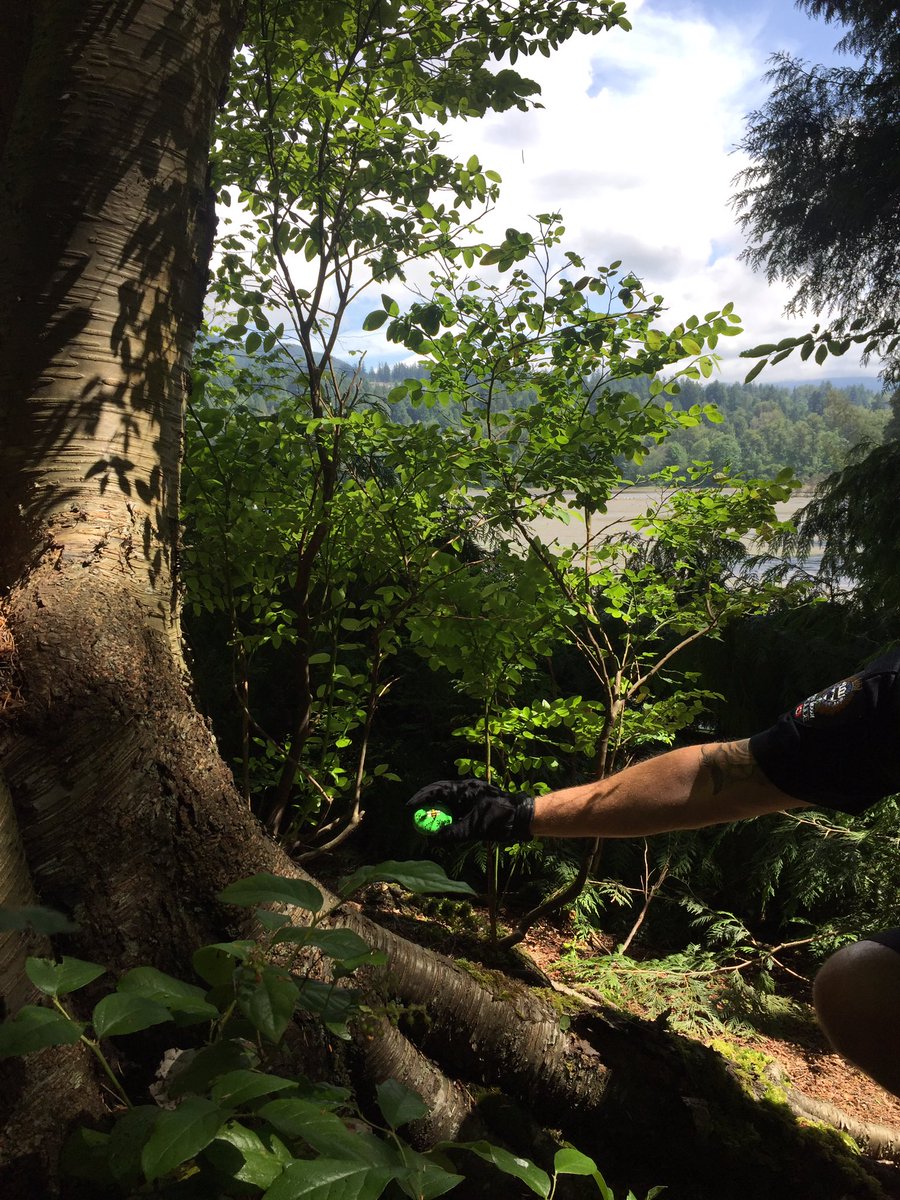 PortMoodyPD's tweet photo. Out for a walk along Rocky Point Trail @CityofPoMo on a beautiful day.
While we can’t hide 30+ #pmpdROCKS this year, we CAN hide a single #dailyROCK. 😉
Find this lil gem by 4pm today & collect a cool prize! 🏆
#CreativeCommunityEngagement https://t.co/JJUJAZDYta