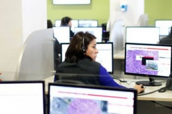 OCDE recomienda generar una estrategia nacional de datos a Chile https://t.co/1ddXTs25G6 https://t.co/ZCLhZK8PG9