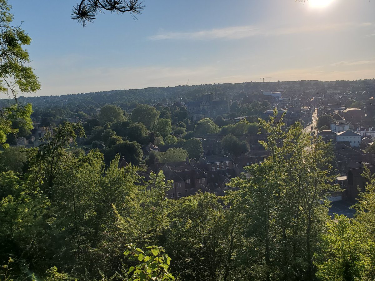 Evening walk in winch. Its still boiling, but glad to be out of video calls!