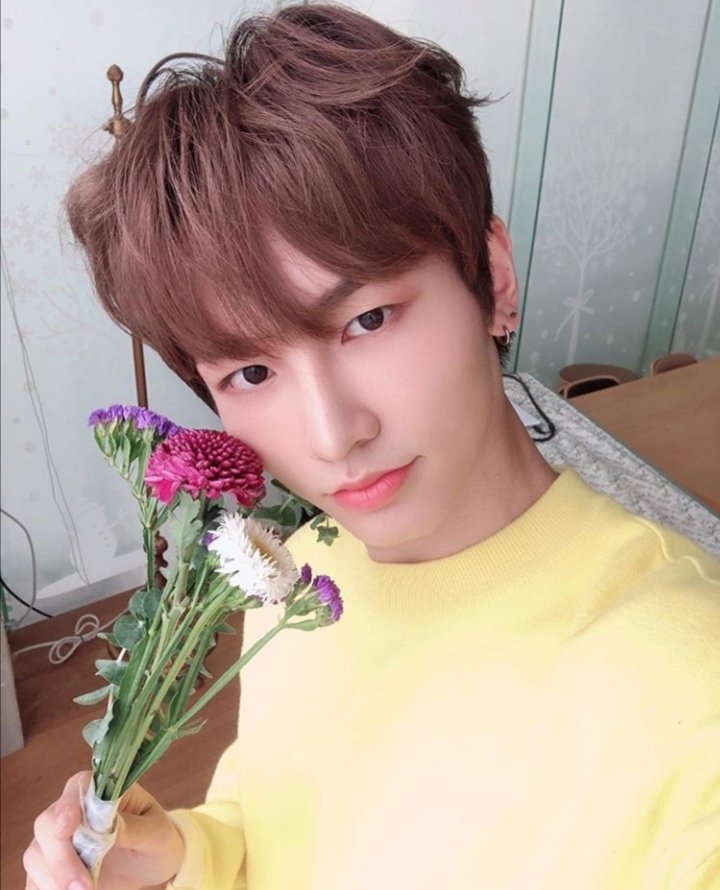 Jisu--Tarrito.-No es lo que aparenta.-De buena apariencia.-Divertido.-Cae bien.-¡Que aburridos, vamos a divertirnos!'.