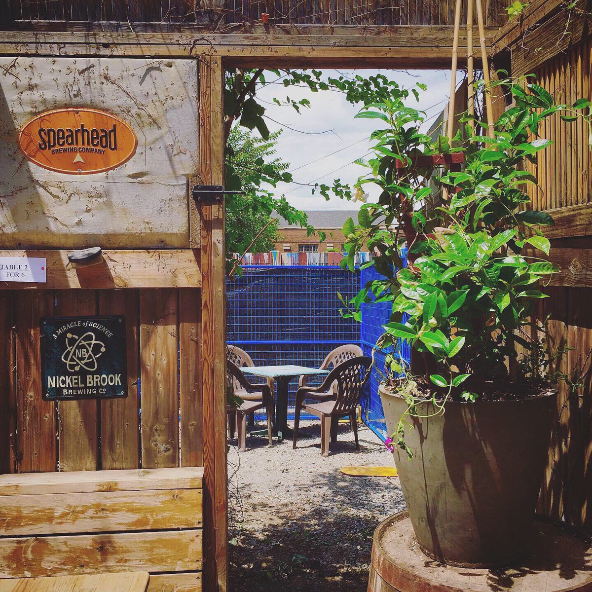 The Only Cafe tweet media