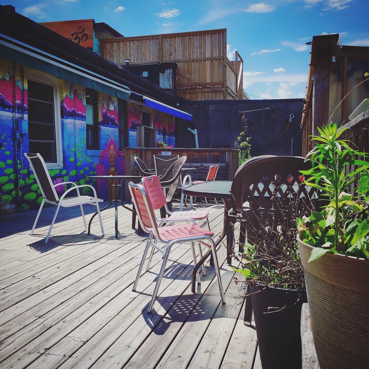 The Only Cafe tweet media