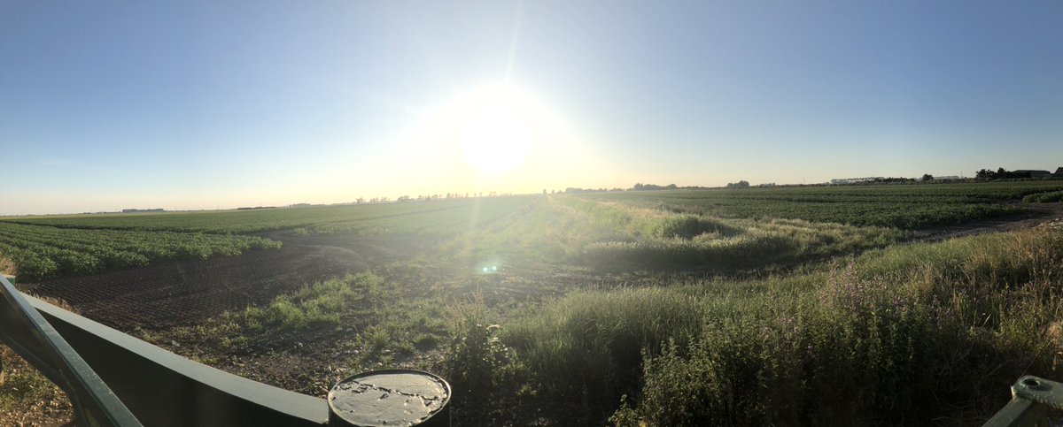 jejh87's tweet photo. Out for an evening cycle.
Here’s the view from the rest stop.
Why wouldn’t want to live in the Fen!?! ❤️❤️
#thefens #fenlife #views #scenic #countryliving #eveningcycle https://t.co/1FoocC8YZ0