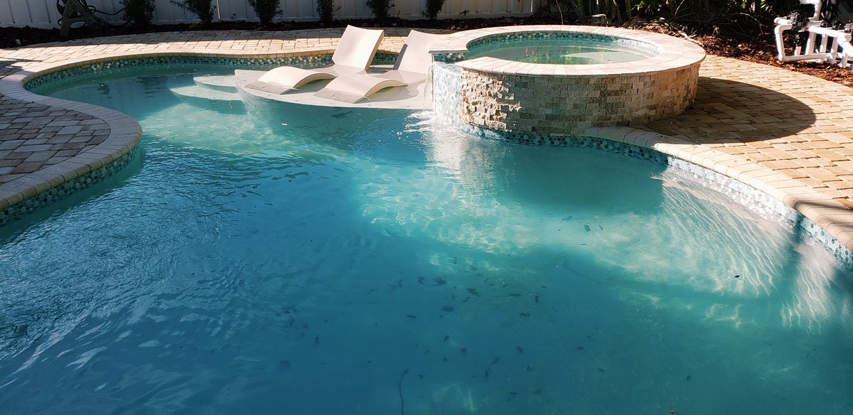A beautiful day to be laying out by the pool ☀️ #Wahoopools #poollife #pools  #poolbuilders