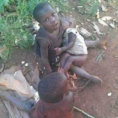 MaishaRdc's tweet photo. #BENI_NK_RDC Une autre vie après avoir perdu les parents dans les massacres Adf/Nalu. Impuissants, désespérants, et épuisés de toute force, seul l'amour entre eux peuvent les sauver. #SOSBENI
@SCIDRC @Presidence_RDC @KasekwaB @matumo_b @TinaSalama2 @gisele_kaj @saidiatibu1 https://t.co/6d9JNvM5d5