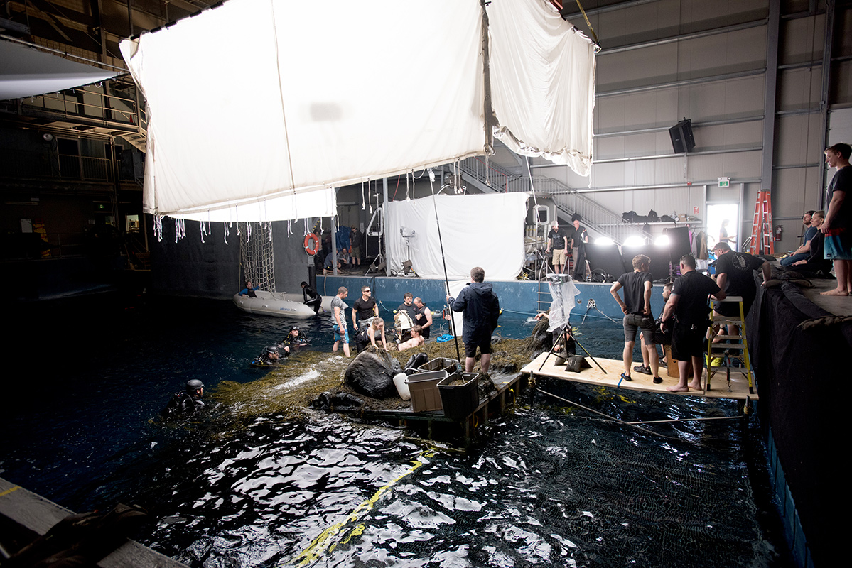 Screen_NS's tweet image. 📣 @Screen_NS has launched a NEW webpage dedicated to supplying info on filming in #NovaScotia during the COVID-19 pandemic. This page includes links to the approved health &amp;amp; safety guidelines and appendices, Immigration info, and more. Visit: screennovascotia.com/covid-19/ #nsfilmjobs