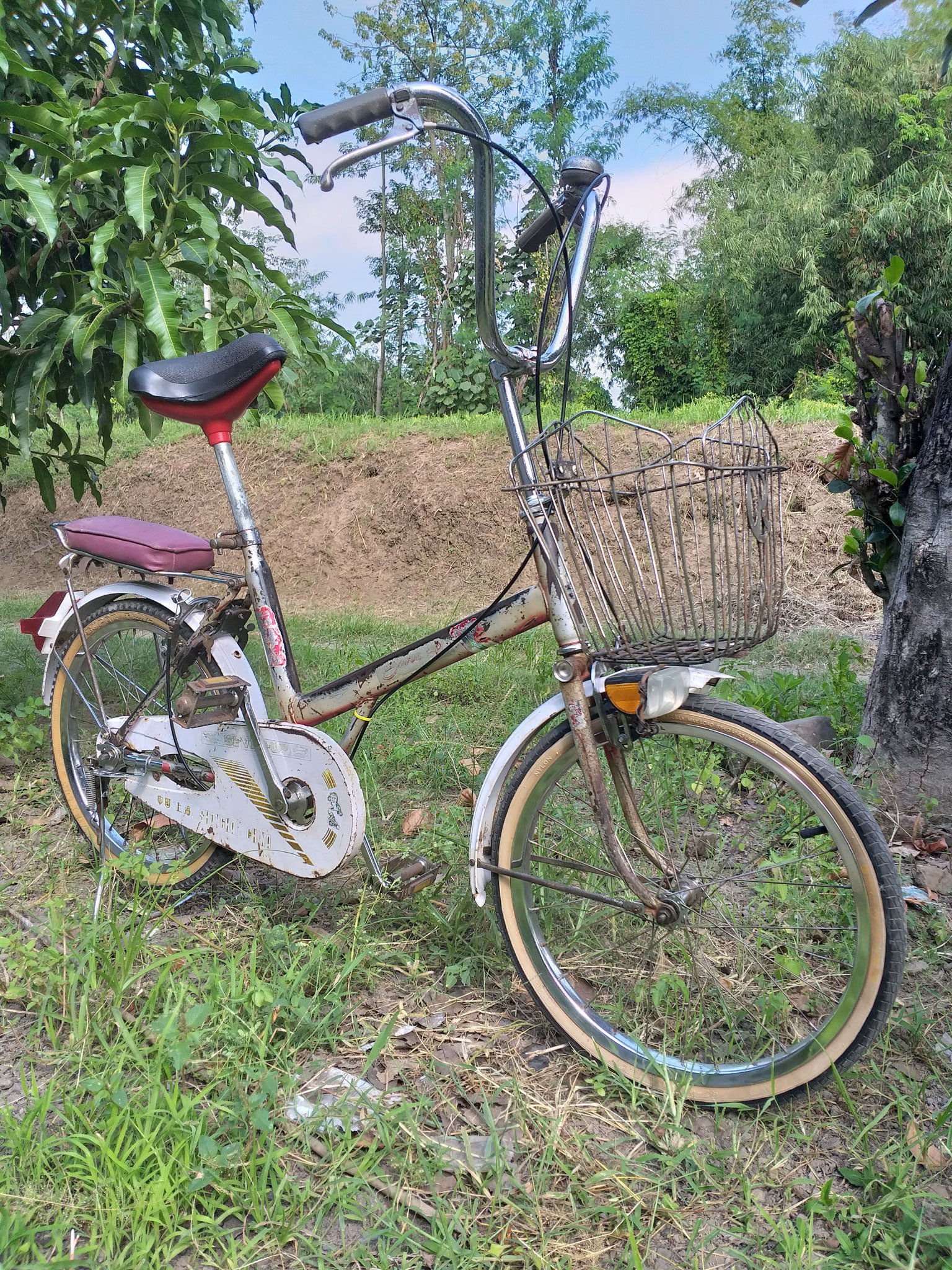 Sepeda minion raleigh 2025