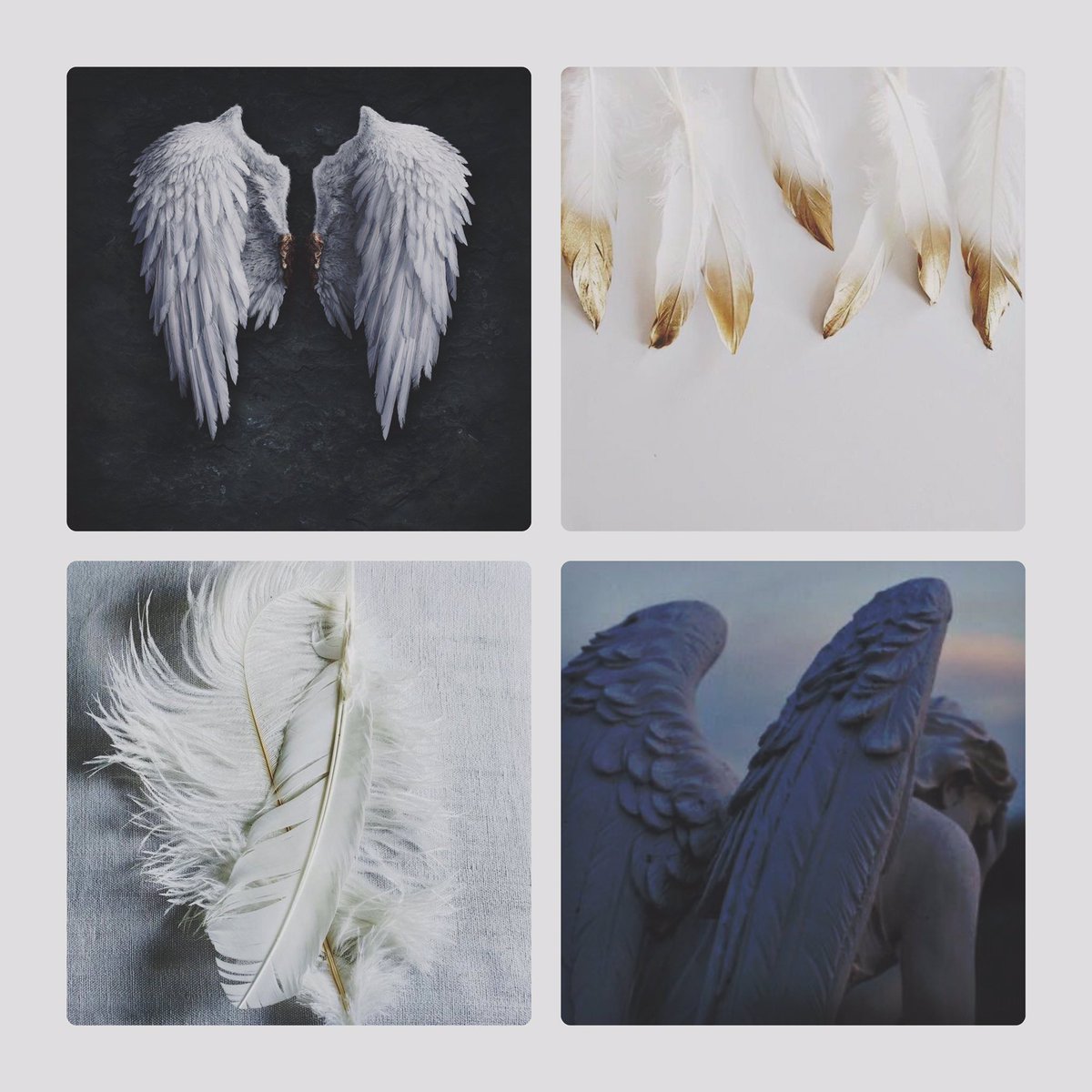 AngelicDuties's tweet photo. ⚘ Character/Writing Information ⚘ 

➻ Jupiter is centuries old. He mostly tends to Earth, serving as a guardian angel almost. Generally he’s the angel of peace, fun and light.

➻ Literate. Semi-descriptive. Lewd in dms. All fandoms/AUs are welcomed. https://t.co/0ozzc0gw64