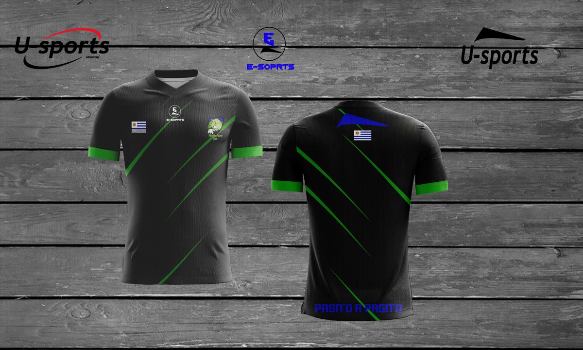 Estos son los caparazones que nos diseñaron nuestros amigos de <a href="/Usports13/">Oleksandr Kirylenko</a> próximamente las tendremos con nosotros