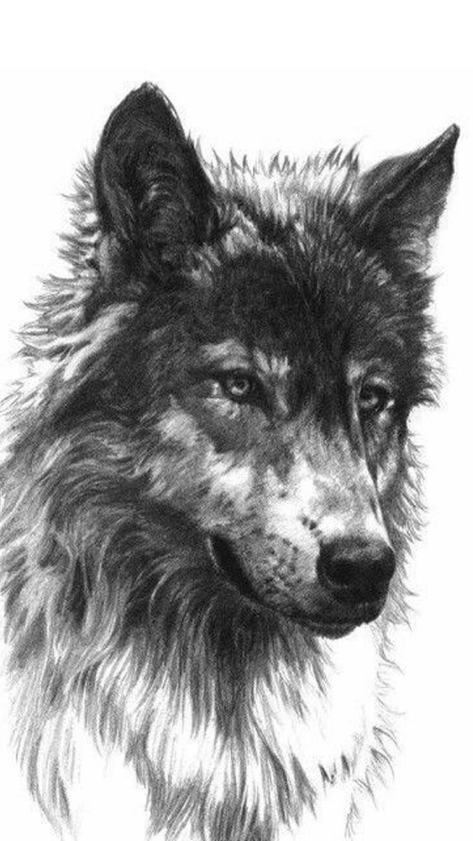 packboydolo_'s tweet photo. https://t.co/VXmsS22FNn Shop away 🐺💙 https://t.co/AErfuYOhn7