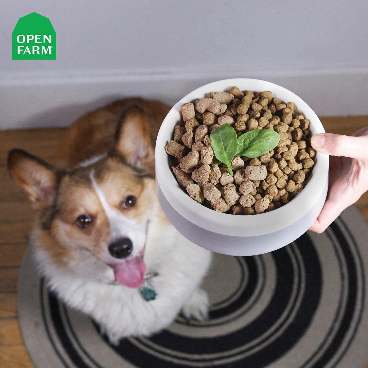 Open Farm lets you build a bowl that suits your pet’s exact needs. Your dog’s skin &amp; coat can remain shiny &amp; healthy as well as play an important role in keeping water &amp; heat from escaping their body &amp; prevent viruses and bacteria from building up.