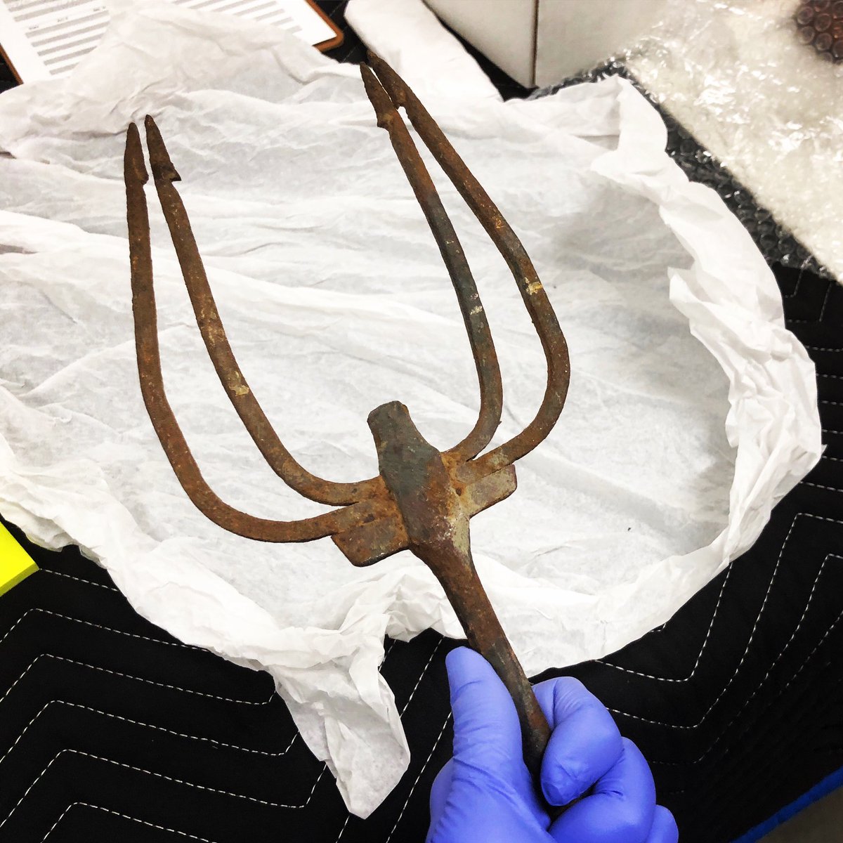 Ever see an eel spear? We have! To keep fish on the mountaintop, Jefferson created a series of ponds, some named for the type of fish they held. In 1819, Jefferson noted “the uppermost pond is for eels.” However, we don’t think this spear was ever used at Monticello 🤷‍♀️