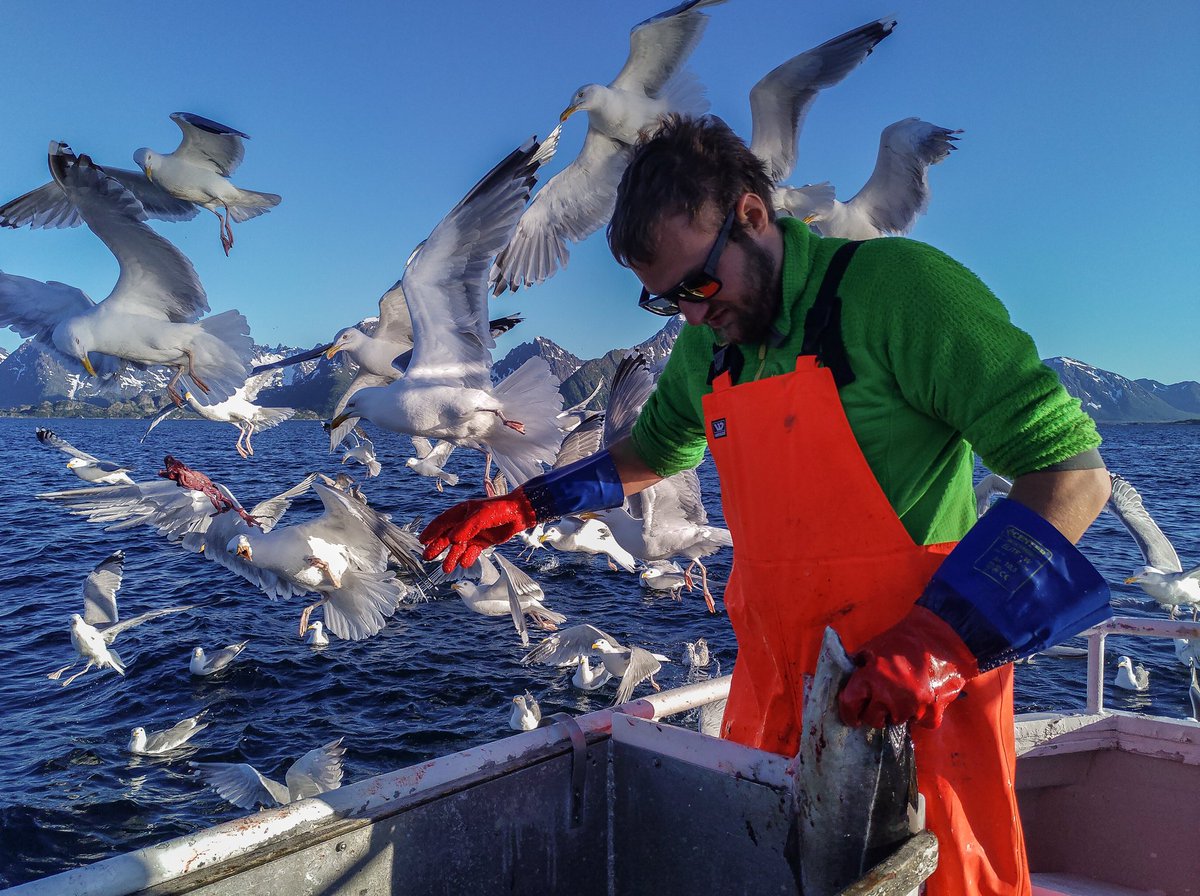 Rayner Skare Lind tweet media