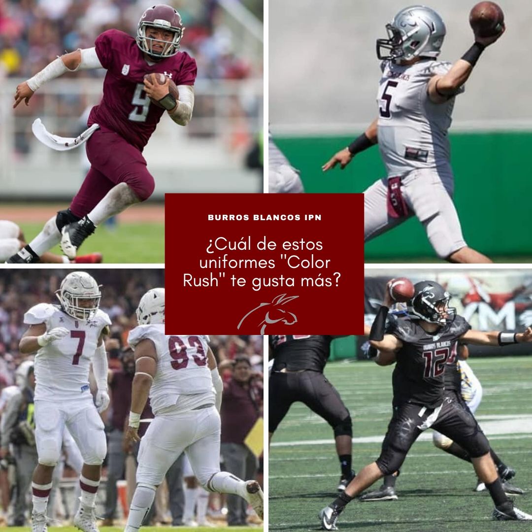 maximoavance's tweet photo. 🤔 ¿Cuál de estos "Color Rush" de los @BurrosBlancos te gusta más? 

🔴 Guinda 
⚪ Gris 
⬜ Blanco
⚫ Negro 

#LigaMayor @OnefaOficial https://t.co/Do2ne06zGW