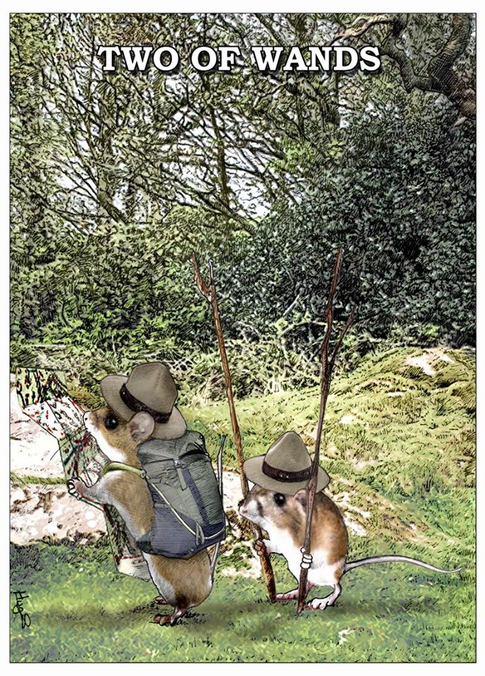 Brian Hughes tweet media