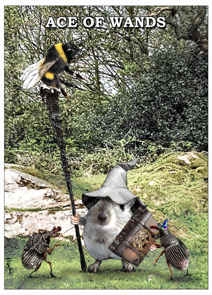 Brian Hughes tweet media