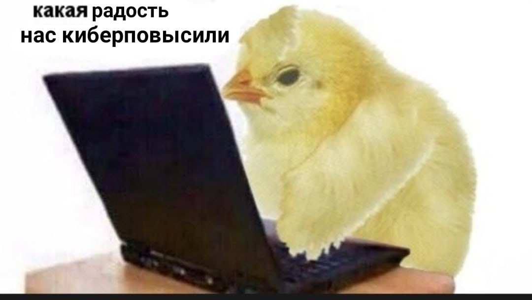 класснуха разбанила наш класс в ватсапе после 2 месяцев бана