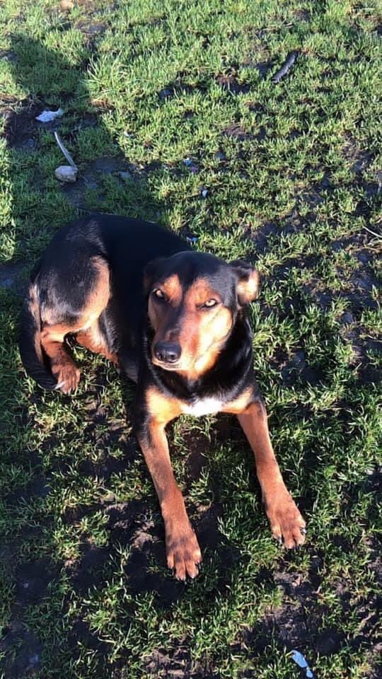 rosiedoc666's tweet photo. #FindSally missing in unfamiliar area, #morcambe could of moved on WHO LIVES IN THESE AREAS? Pls 👀 FOR SALLY
#NetherKellet #Overkellet #Arnside #Silverdale #Warton #HestBank
#Levens #Sizergh #Brigsteer #Underbarrow #Crook #Hornby #Scorton
https://t.co/cUSrWZKypm… https://t.co/Yr57jgiqeC